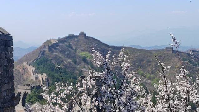 承德-金山嶺長城-承德 精品一日遊 （無購物）門票自理
