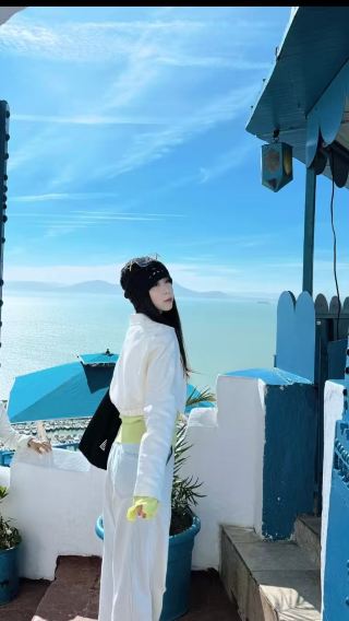 Tunisia Carthage ruins ancient city + Baths of Antoninus + Sidi Bou Said private chartered tour/customizable