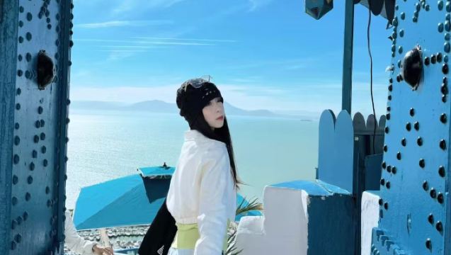 Tunisia Carthage ruins ancient city + Baths of Antoninus + Sidi Bou Said private chartered tour/customizable