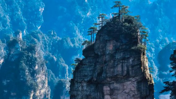 Privat tur med chauffør til Zhangjiajie Nationale Skovpark (sydindgang) | Golden Whip Bækken + Huangshi Landsby