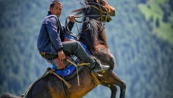 Ganztägige private geführte Tour zum Himmelssee des Tianshan