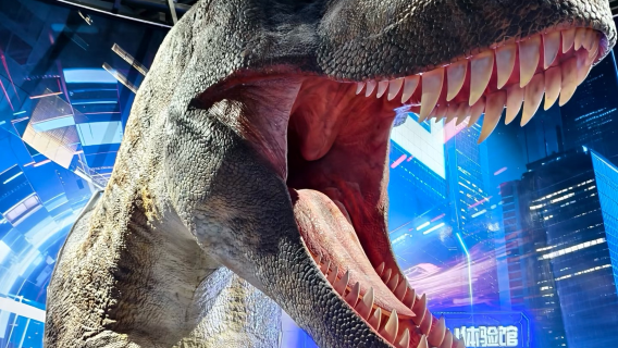 Leśny Park Narodowy Góry Mao'er - Wodny Świat Termalny - Królestwo Dinozaurów - Ściana Internetowych Gwiazd (bilety wstępu nie wliczone)