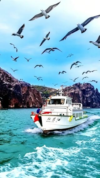 ชายหาดอันดับ 1 ของเมืองเก่า + เกาะหลิวกง + ถนนสายไฟ + เรือบลูวิส | ปรับแต่งได้※