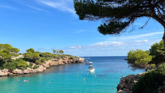 Sepanyol Mallorca - Palma - Laut Jeli - Lawatan Sehari Sewaan Peribadi (Tiket Masuk Tidak Termasuk) - Pilihan Percuma