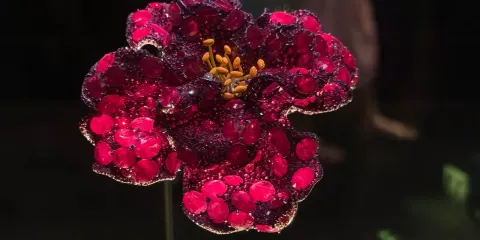 美國華盛頓-梅蒙特莊園+弗吉尼亞美術博物館+貝爾島-包車無憂