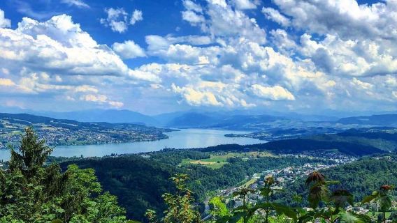 Tagesausflug mit Bootsfahrt und Bergblick in der Zürcher Altstadt - Englischsprachig