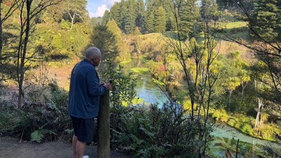 Dari Auckland: Lokasi Syuting Hobbiton & Blue Springs Kelompok Kecil