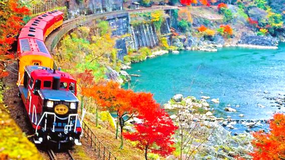 1-day tour to Kyoto's Arashiyama and Togetsukyo Bridge, exploring hidden attractions in Kyoto and encountering cherry blossoms and bamboo groves