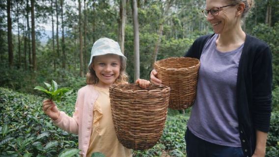 Ella: Hands-On Tea Making Experience with Tasting
