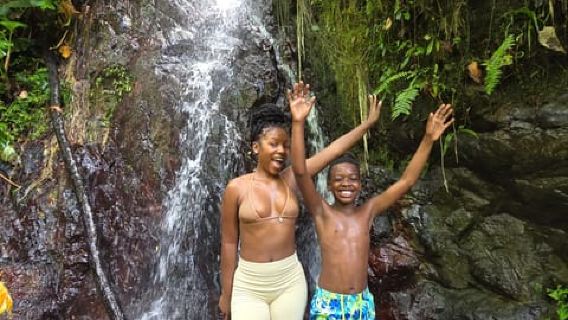 Fajardo: Rainforest guided adventure
