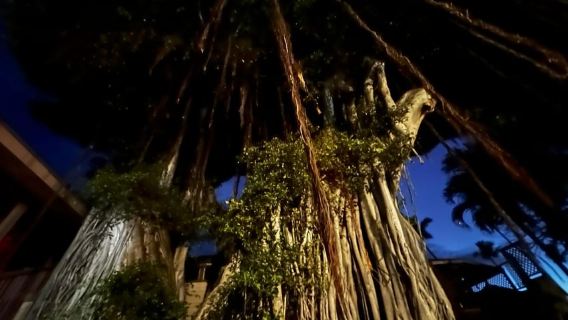 Kailua-Kona: Haunted History Ghost Walking Tour