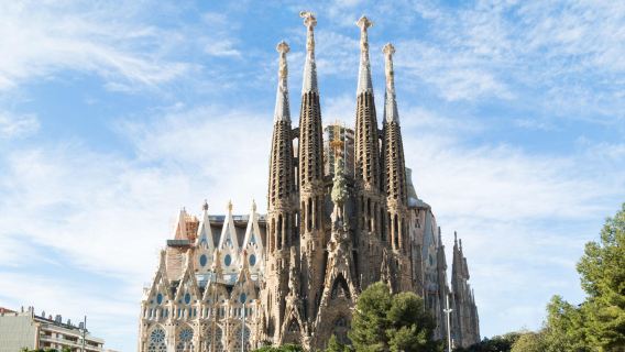 Sagrada Familia Tour with optional Tower Access
