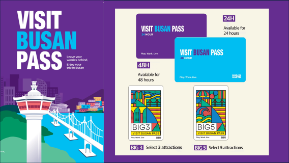 Visit Busan Pass with 24H, 28H, Big3 and Big5 Options