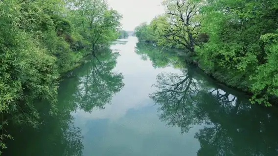 杭州西湖+雷峰塔+西湖遊船+靈隱寺一日遊【純玩資深講解】