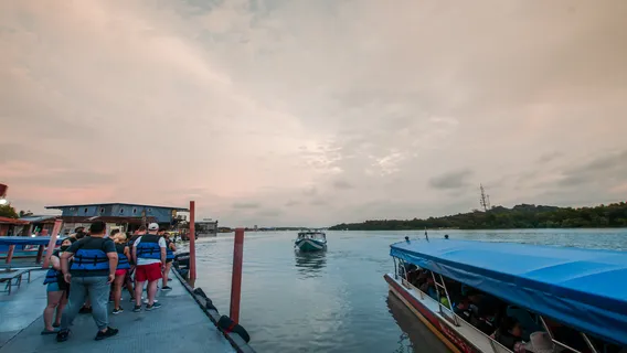 Fireflies & Blue Tears Night Tour with Seafood Delight