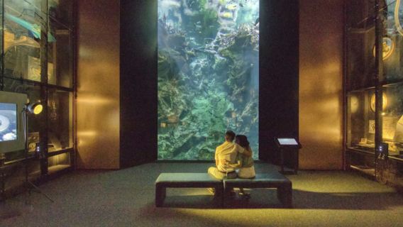 La Cité de la Mer: biglietto d'ingresso + audioguida