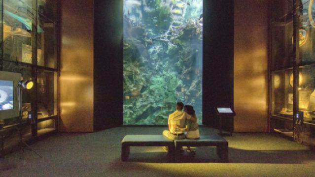 La Cité de la Mer: Vé vào cổng + Hướng dẫn âm thanh