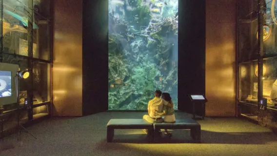 La Cité de la Mer : Billet d'entrée