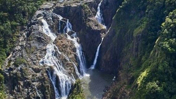 Barron Falls & Cattana Wetlands: Tour + Lunch + Cableway or Scenic Railway Ride
