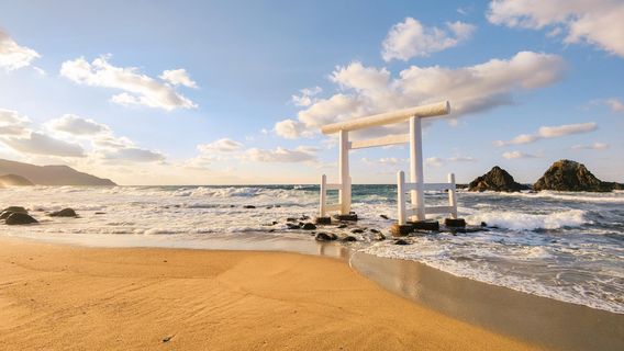 伊賀市日遊