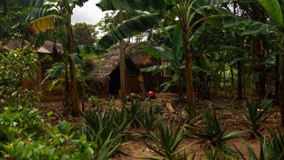 MombasaTours