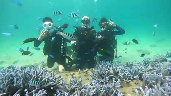 澎湖列島體驗潛水水肺潛水 2 小時【2025 澎湖花火節｜樂福珊瑚海洋花園・海底郵筒潛水】
