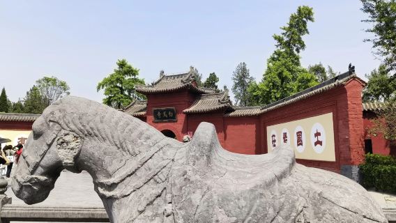 Luoyang Cross Street + White Horse Temple + Lijing Gate + Shenzhou Peony Garden one-day tour with Chartered Car - English Service Available