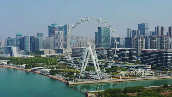 Shenzhen City|Multilingual guide | translate |Professional escort| attraction guide| 1-day private charter|Welcome to consult customer service