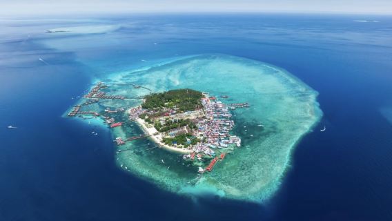 馬來西亞全境 專業翻譯|旅遊地陪|商務翻譯|展會翻譯|陪同拜訪|中文&馬來文&英文翻譯