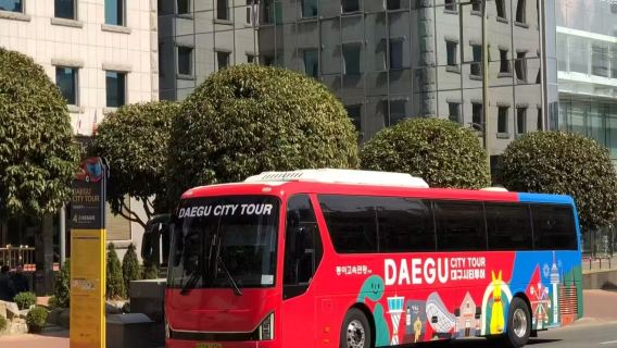 Daegu Hop-on Hop-off City Sightseeing Bus 1-day Ticket