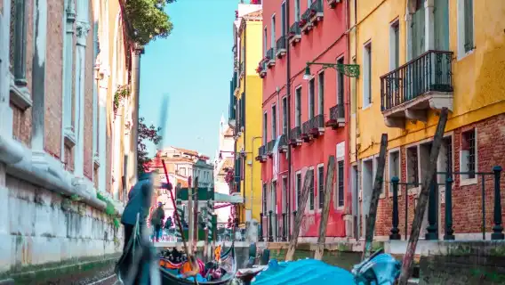 Book after inquiry/Venice Doge's Palace Saint Mark's Basilica Rialto Bridge Murano Island/airport/point-to-point car service/tour guide/private car service