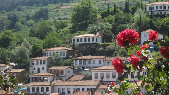 Ephesus and Sirince Tour from Izmir / Kusadasi