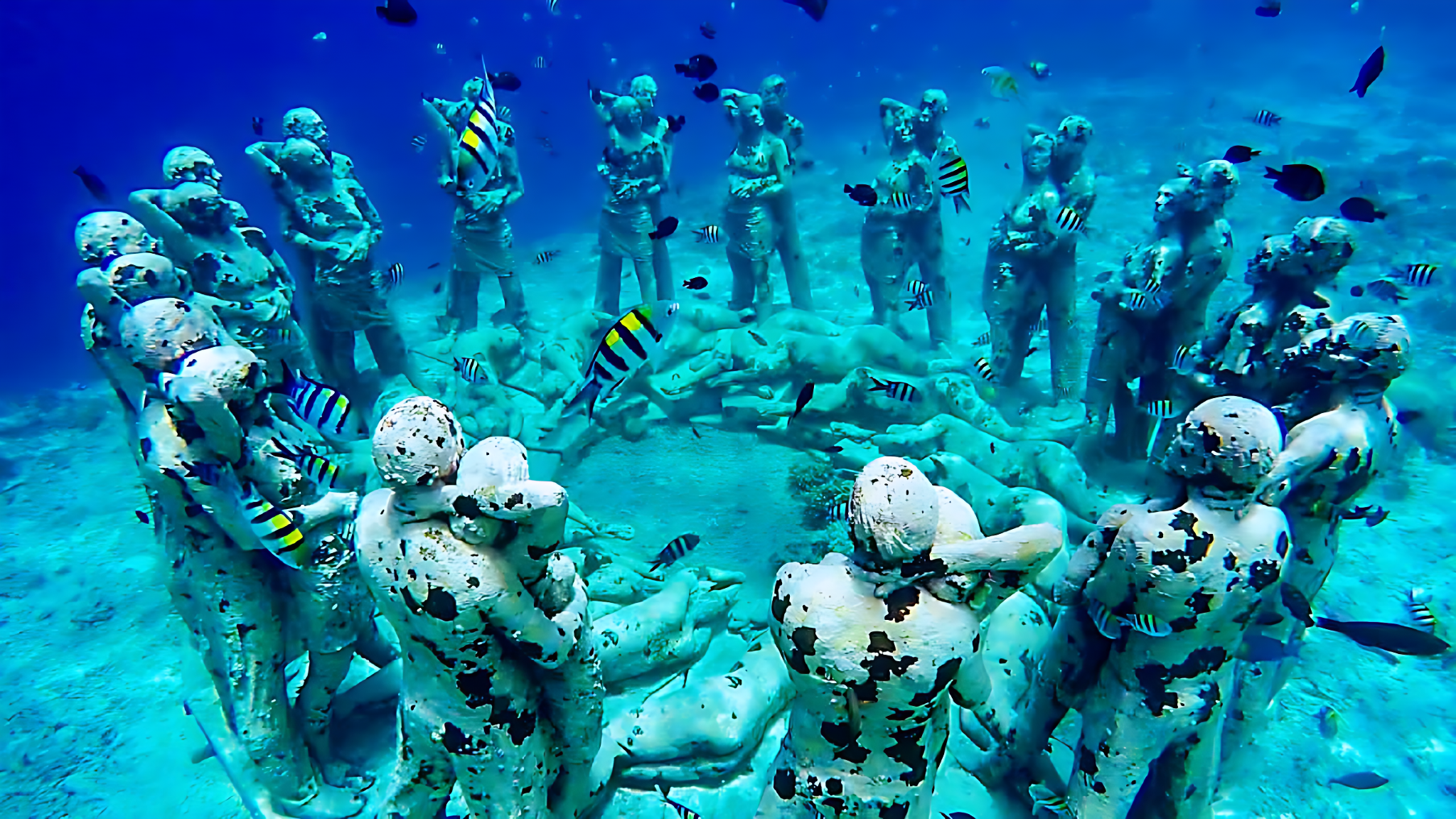 LOMBOK Three Gilis Snorkeling Tour by Private boat with Guide and Lunch