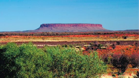Transfer Bus Mewah dari Ayers Rock ke Kings Canyon