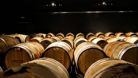 Desenzano: Degustazione di vini Lugana e tour dei vigneti