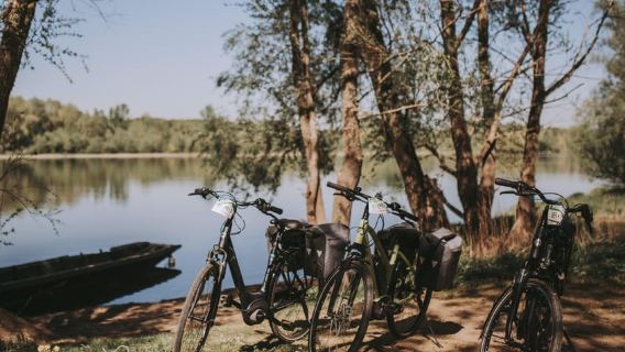Chenonceaux en bicicleta: ¡el querido espejo de tu día!