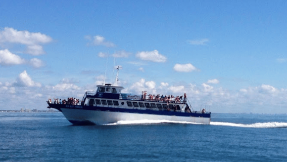 Myrtle Beach: Dolphin & Sealife Cruise, Great For All Ages!