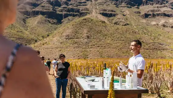 South Gran Canaria: Off-Road Valleys & Villages Jeep Tour