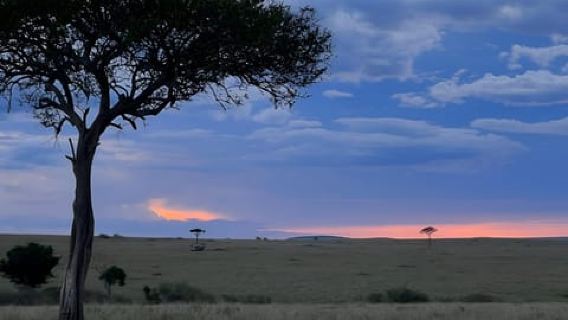 Arusha: 1-tägige Safari im Lake-Manyara-Nationalpark