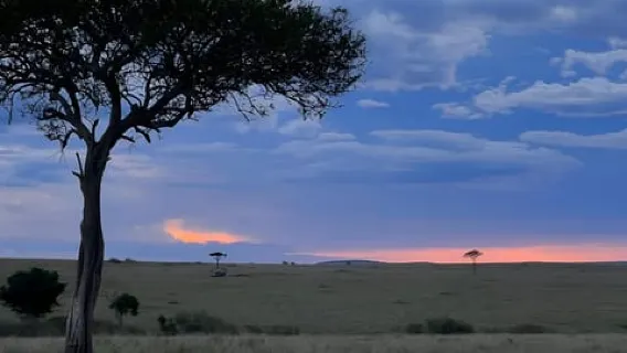 Arusha : Lake Manyara National Park 1-Day Safari