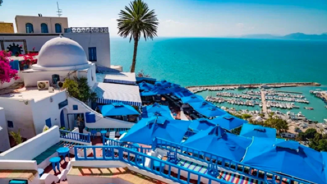 突尼西亞+迦太基古城+藍白小鎮+中文服務+VIP獨立包車一日遊