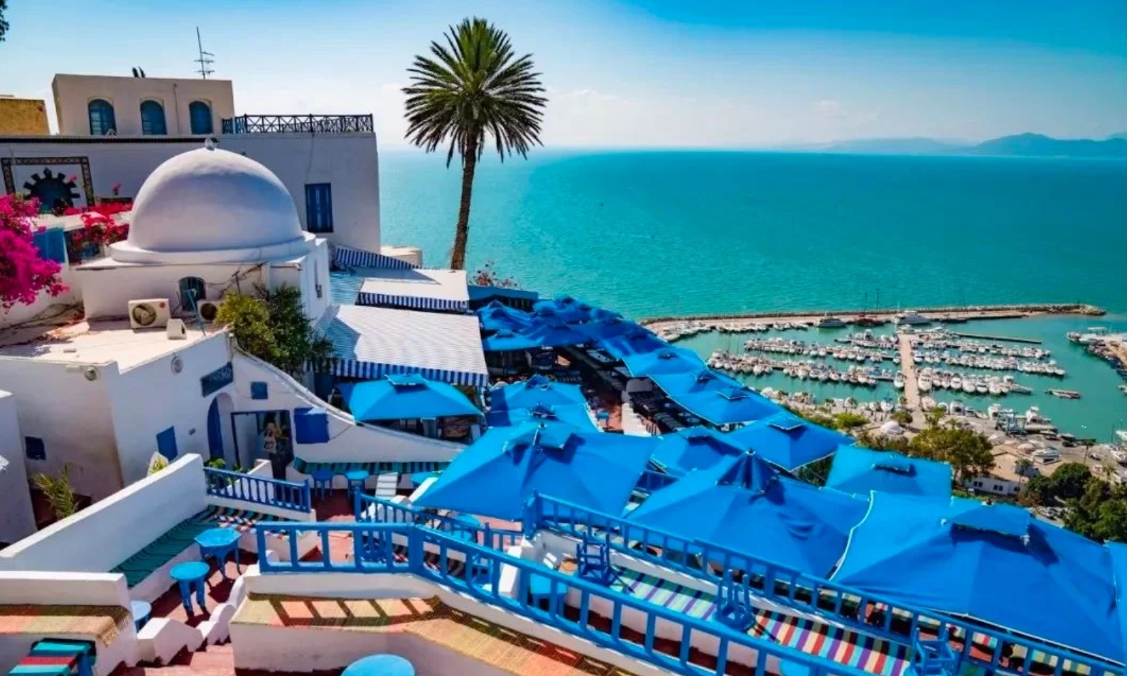 突尼斯+迦太基古城+藍白小鎮+中文服務+VIP獨立包車一日遊