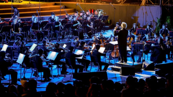 2025 Nanjing Waldmusikkonzert + Nanjing Museum (Nanjing Bowuyuan) + Ming-Gräber Privattransfer Tagesausflug