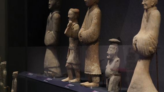 Shaanxi History Museum Qin-Han Hall+Big Wild Goose Pagoda Day Tour