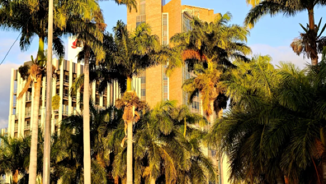 Μαυρίκιος - [Πολιτιστικό ταξίδι στο βόρειο τμήμα] Λουιζιάνη + Εκκλησία με Κόκκινη Οροφή + Σούπερ μάρκετ [Κράτηση από 2 άτομα]