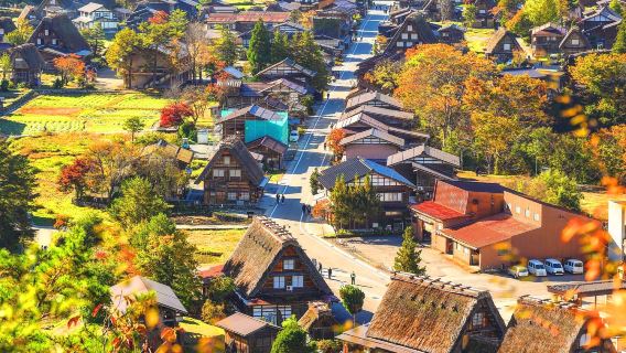 Departing from Nagoya | Day Tour to Explore Takayama & Shirakawa-go's Gassho-zukuri Villages World Heritage