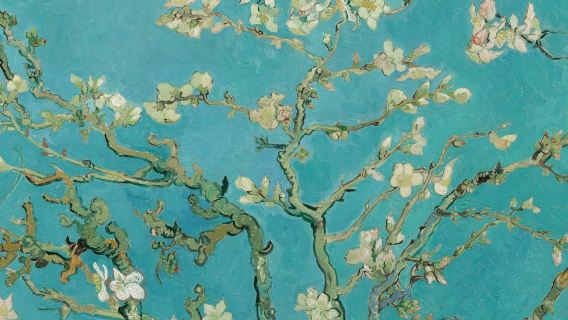 Van Gogh Museum: Guided Tour