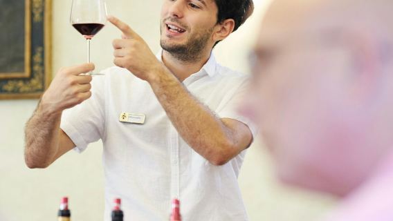 Toscana: tour del Chianti + degustazione di vini alla Villa Medicea