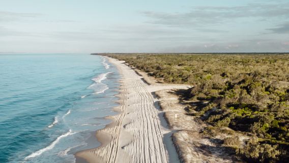 Tagesausflug ab Brisbane: Bribie Island + Nationalpark + Teichfarbene Lagune + 4x4-Abenteuer