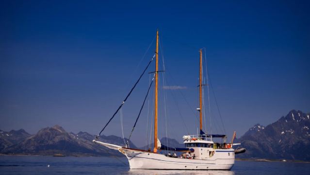 ทรอมส์โอะ: ประสบการณ์ตกปลาจากทะเลสู่โต๊ะอาหารแบบกลุ่มเล็ก